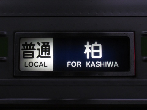 普通柏